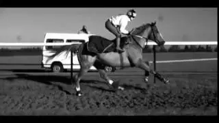 TrotBot's Linkage and the Gait of a Galloping Horse