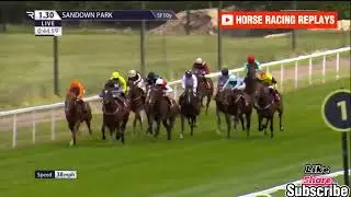 SIEGEN / 1 Race Sandown 14 Jun 2024
