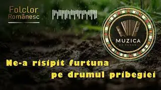 În zile grele – Alexandru Vlahuță | Poezie patriotică românească cântată| Muzică populară românească