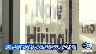 Job numbers could either fall off a cliff or grow this year Rice economic expert