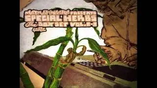 MF Doom - Monosodium Glutamate
