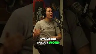 Why I got into Marine Biology and the Surprising Journey That Led Me There