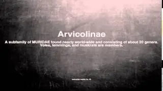 Medical vocabulary: What does Arvicolinae mean