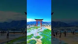 Places to go before you die【Hiroshima】#shorts #japantravel #japanvisit #japan #japanese
