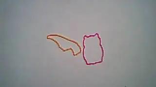 Wild Life Animation with Zany Bandz
