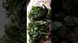 RECETTE ERU CAMEROUN