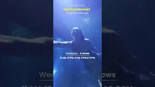 Meet a Real Mermaid in Chennai! 🧜🏻&zwj;♀️ | August 15th @ VGP Marine Kingdom