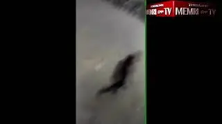 Protest at Tehran University against Enforcement Hijab, Students Chant: 
