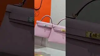 Shebag Hermes Mini kelly 2 pink Gold VS silver review 2024