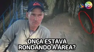 O QUE SE SABE sobre caseiro morto por onça no Pantanal