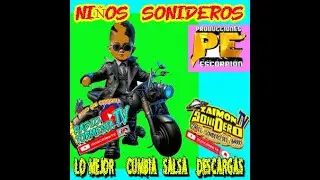DESCARGA  DE  LOS  CEROSS  LIMPIA