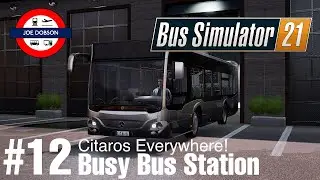 Bus Simulator 21 | Seaside Valley | Episode 12 | Busy Central Bus Station