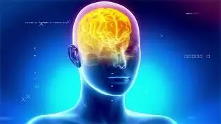 The Future of AI with Neil Jacobstein | Singularity Hub | Exponential Manufacturing