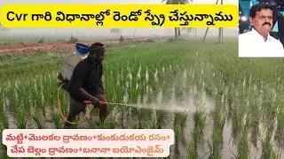 Part -3||2nd Spray in Paddy Using CVR Natural Farming Method||#CVRMethod #NaturalFarming #వరి_సాగు