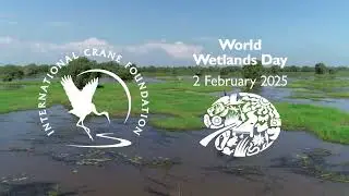 World Wetlands Day 2025