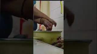 How to clean shrimp 🦐 #shortvideo #youtubchannel #ytshorts #shortvideo #feedshorts #lovefish