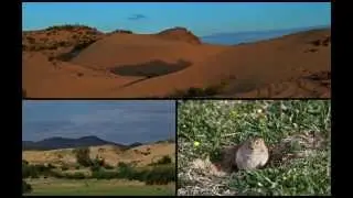 Mongolia's Wildland and Wildlife