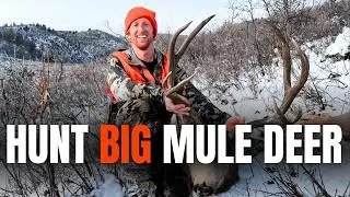 The ULTIMATE Secret to Hunting BIG MATURE MULE DEER