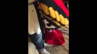 How to Set up your Bobbin Holders when creating a Graphghan