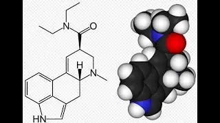 LSD The Spring Grove Experiment 1966