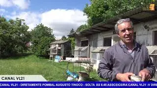 Columbofilia / Várias / Tinoco ( Famalicão) / Maio 2021 / VL21