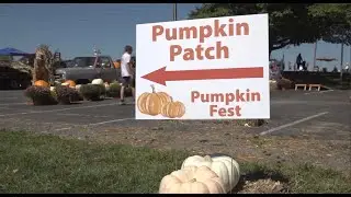 Pumpkin Fest raises money for nonprofit