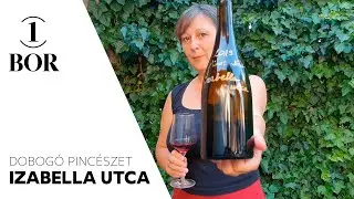 Dobog&oacute; Pinc&eacute;szet: Izabella utca 2019