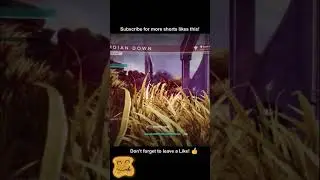 The Taken Really Hate Me - Destiny 2 😡