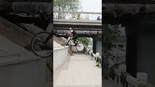 Cycling video#climbingbike #bicycleskills #horsesteppingswallow #uniqueskills #mentalstatebelike