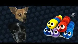 Slither.io plushies part: MORE WORMS!! Plush toy review episode 17