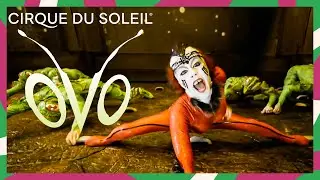 OVO Official Trailer | Cirque du Soleil