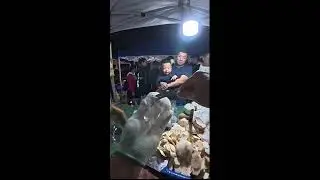POV Livestream | Selling Peeled Whole Coconuts with Natural Water | Real-Time Night Market Prep