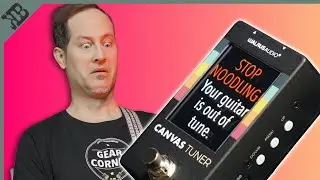 The Passive Aggressive Tuner 🤣 | Walrus Audio Canvas Tuner | Gear Corner