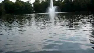 Funkente meets Duck