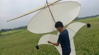 sekak Madura.layangan yang sedang viral