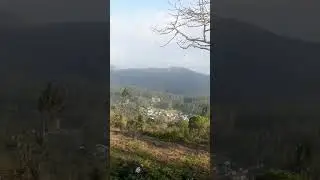 YERCAUD 🌴 🌴 🌴 #shorts #short #viral #video #india #trending #subscribe #hills #yercaud #salem #tour
