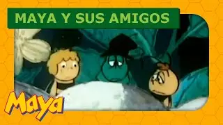 Maya y sus amigos 🐝 Flip y el escarabajo