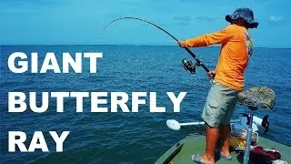 Giant Stingray vs. Penn Fierce II 8000  in Oyster VA