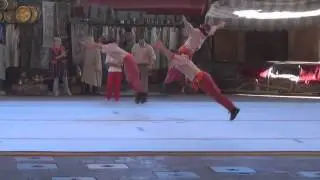 Stunt Injured - WDW - Indiana Jones Epic Stunt Spectacular
