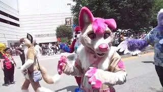 14 Firsuit Parade 3 Spawts the dog