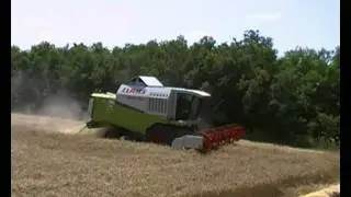Búza aratás 2011. Ölbő mg kft