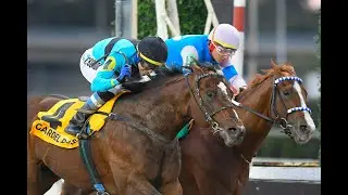 Gran Premio Polla de Potrillos (G1) 2025 - Gardel Pass (Distinctiv Passion)