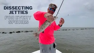 Dissecting Jetties for Every Species