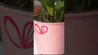 Painting on plastic pot 😱 you will love it #homedecor #shorts #plantermakeover