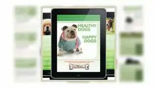 Healthy Dogs, Happy Dogs