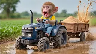 Nana Monkey Farmer's Epic Day: From Drought to Sunset Adventure! 🐒🚜
