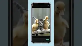 туториал на видео или фото в рамке телефона и прозрачный текст! 