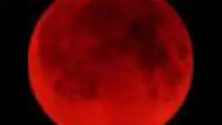 Shigurui OST - Noubi Musou