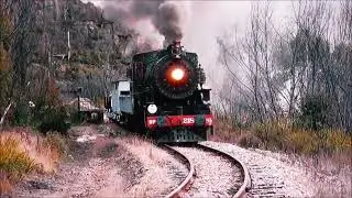 AUSTRALIA TRAIN RIDE ADVENTURE LOTS TO SEE ALONG THE WAY      IIII     BILLY B