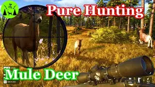 Mule Deer Hunt in Way of the Hunter Pure Hunt Series Part 1 (No Spoiler Gameplay)